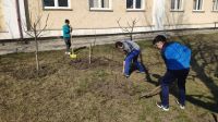 IMG_20190315_111013